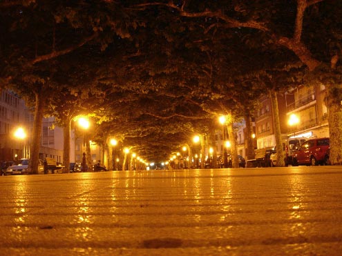 06_03_31_arbolado.jpg 06_03_31_arbolado.jpg
