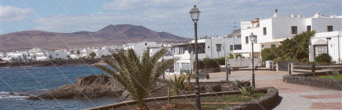 070529gallegoyrey.gif 070529gallegoyrey.gif