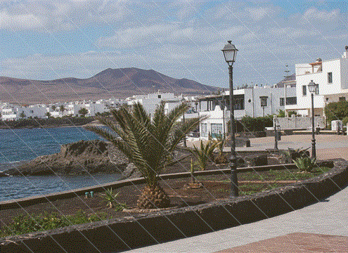 071030ricardo.gif