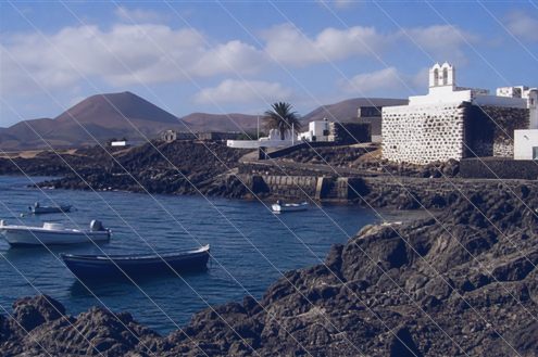 071213tortugas.jpg 071213tortugas.jpg