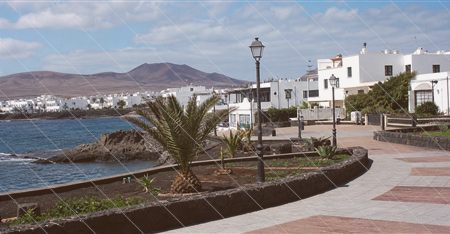 080118pallares.jpg